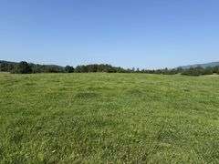Tract 3, (5.01 Acres)