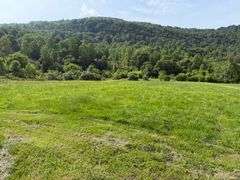 1332 Red Cut Ln, Pioneer, Tn.