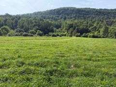 1332 Red Cut Ln, Pioneer, Tn.