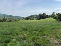 1332 Red Cut Ln, Pioneer, Tn.