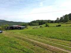1332 Red Cut Ln, Pioneer, Tn.