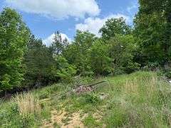 6 Acres and Home, River Rd., Jacksboro, TN.