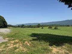 Tract 5, (7.94 Acres)