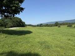Tract 5, (7.94 Acres)