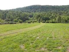 1332 Red Cut Ln, Pioneer, Tn.