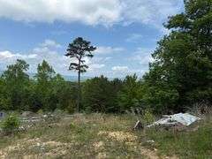 6 Acres and Home, River Rd., Jacksboro, TN.
