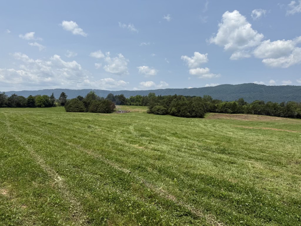 Lot image 4