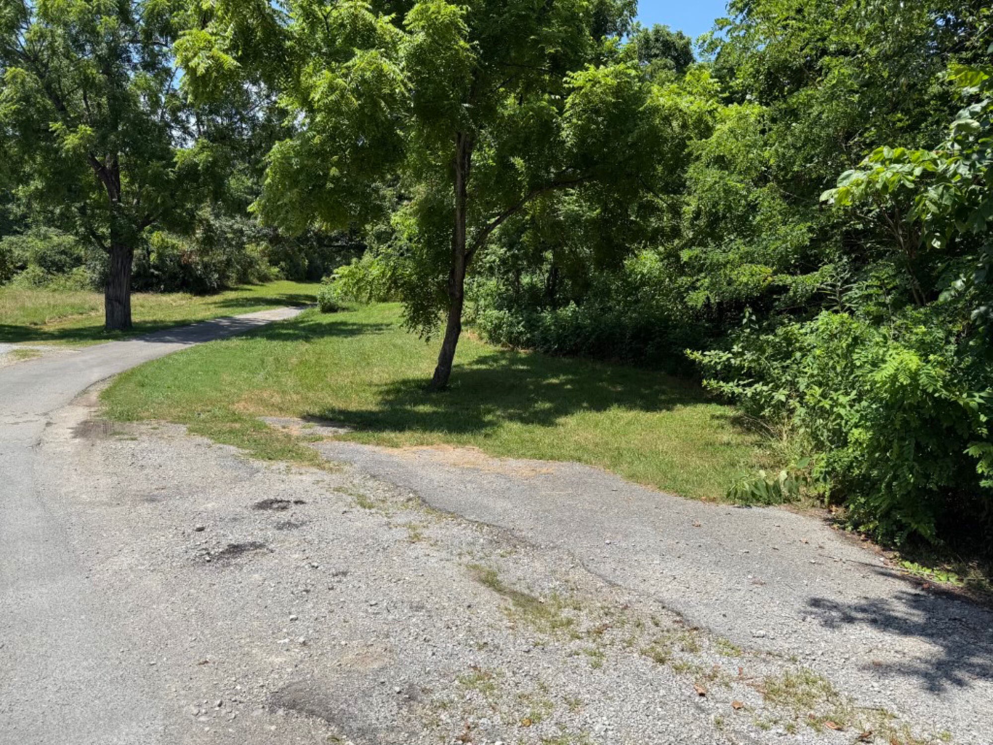 Lot image 25