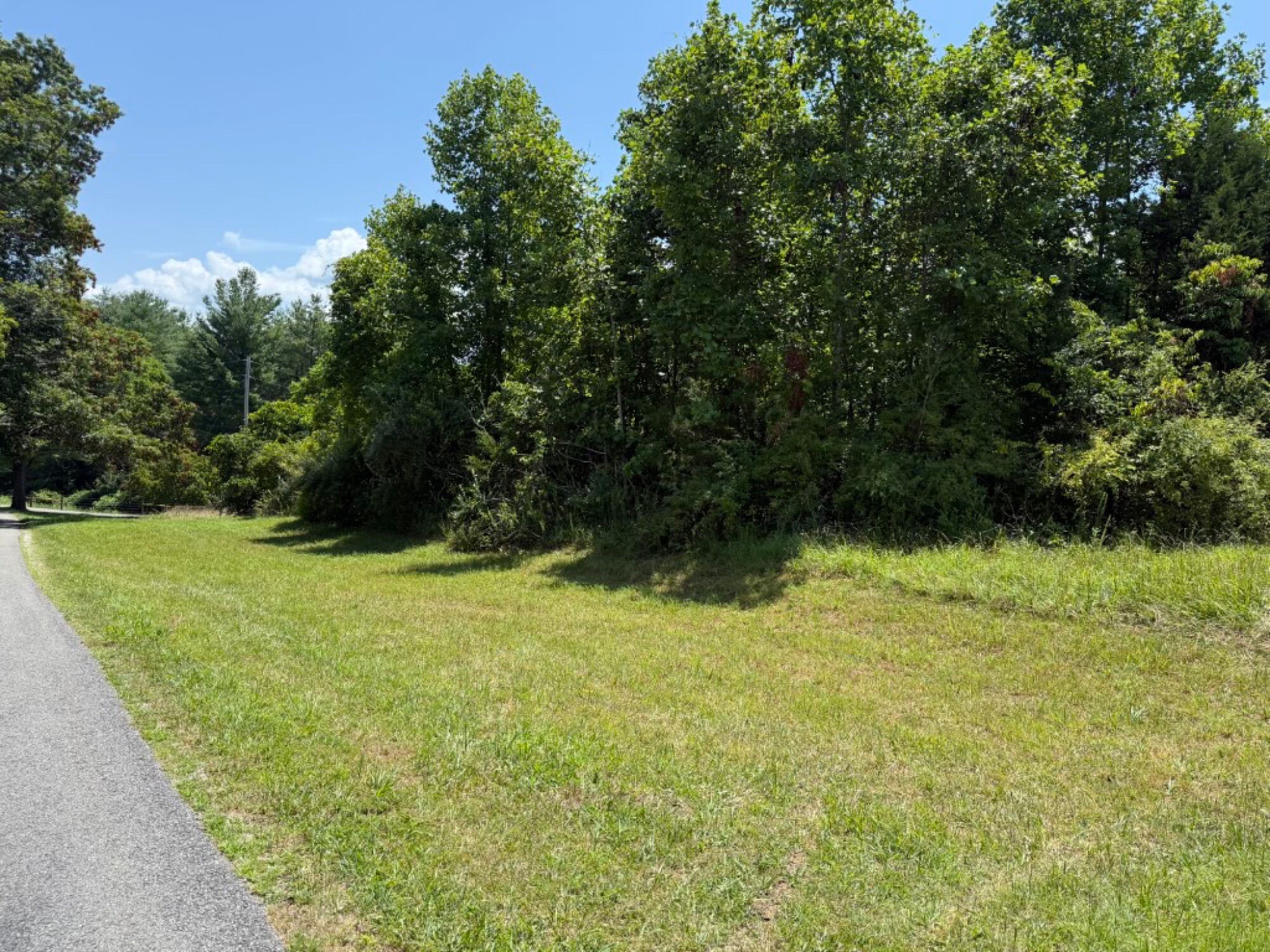 Lot image 16