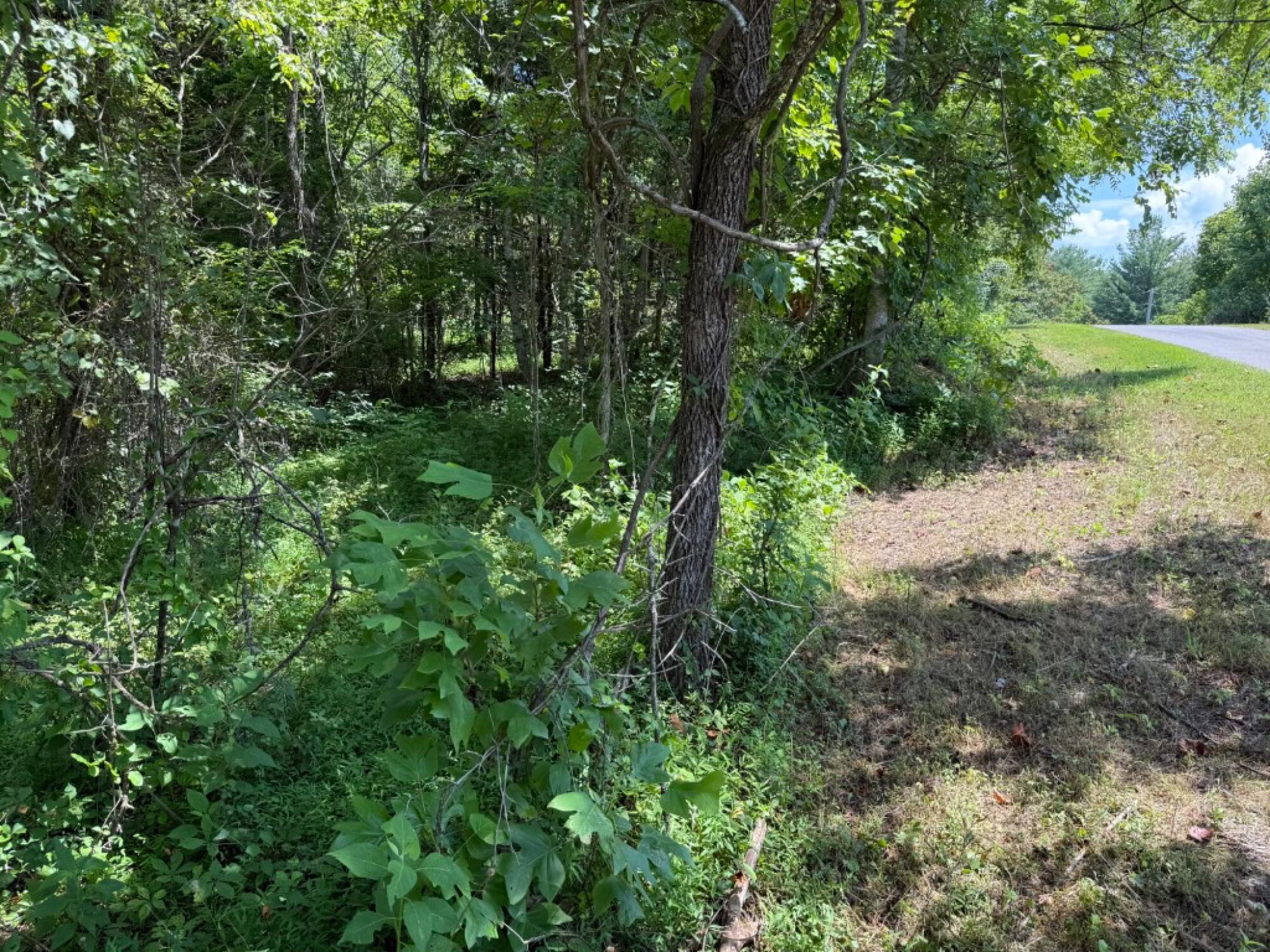 Lot image 12