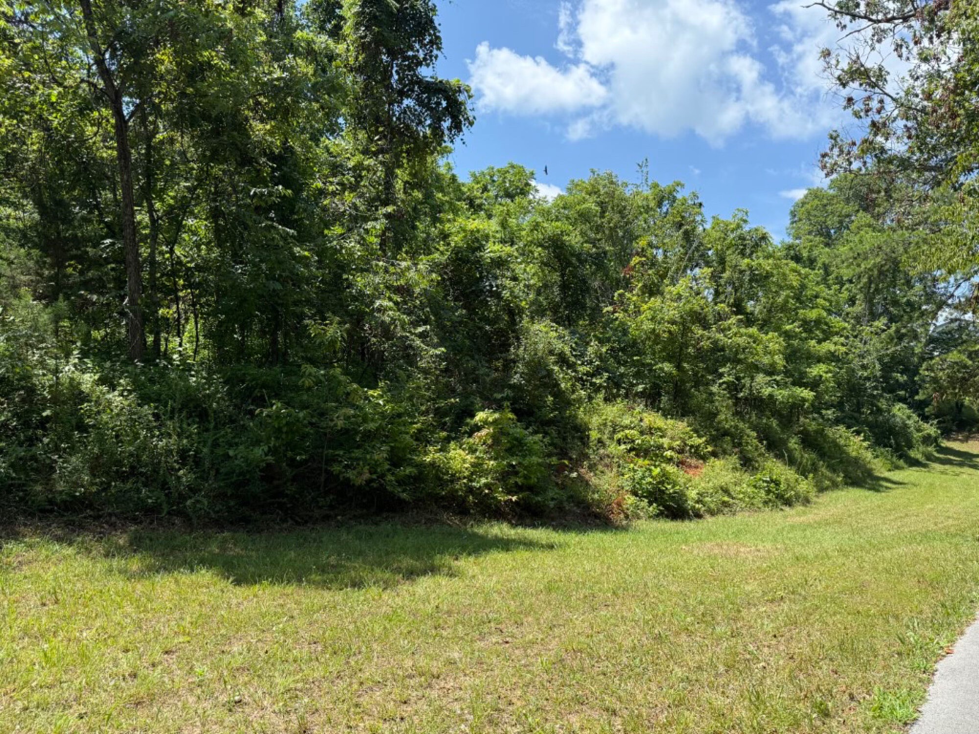 Lot image 14