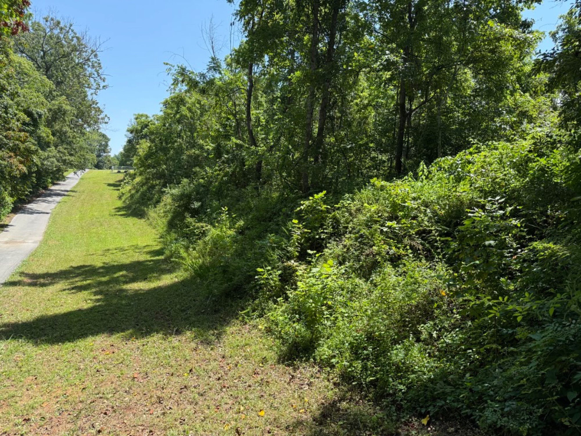 Lot image 13