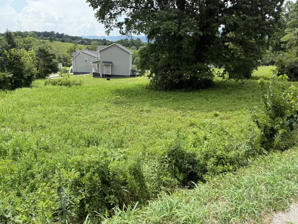 Lot image 2