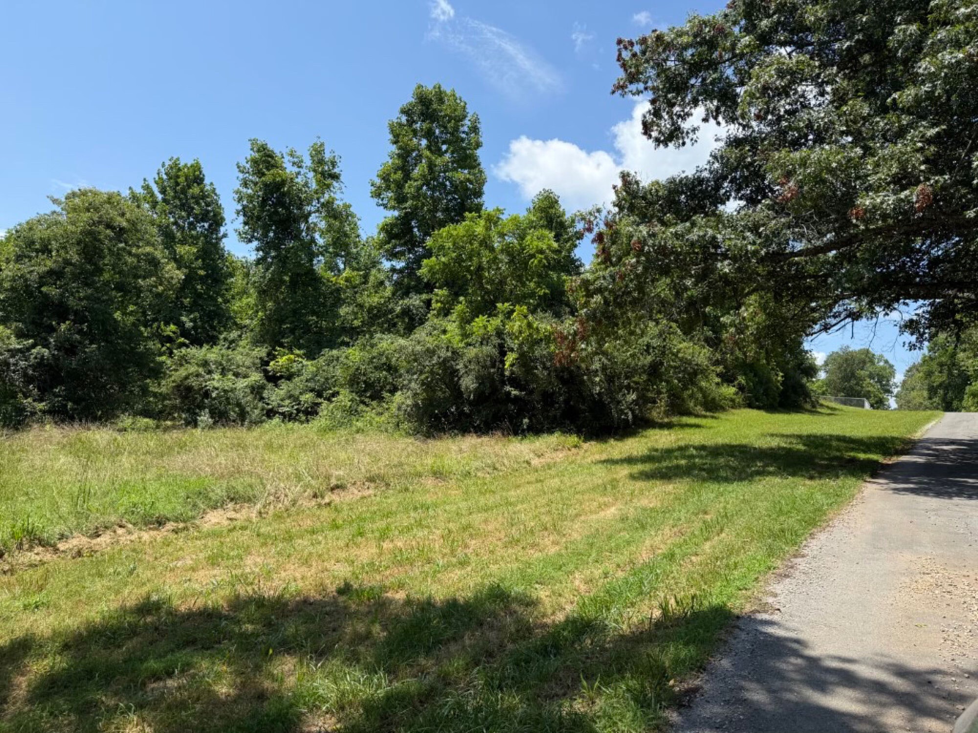 Lot image 18