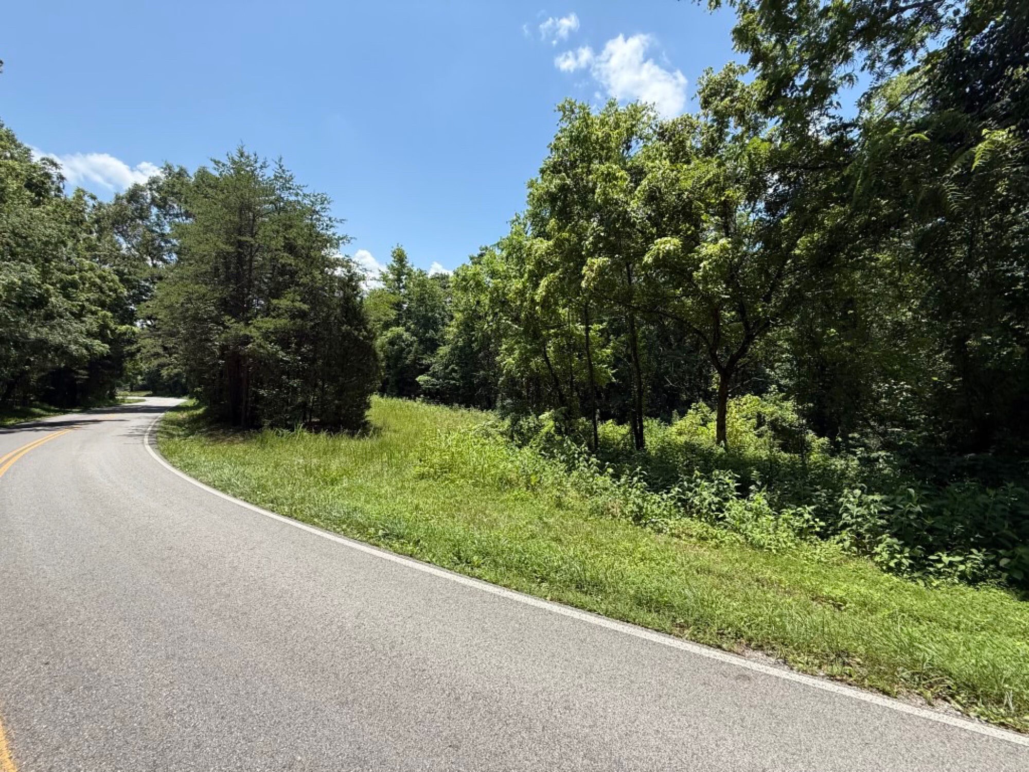 Lot image 11