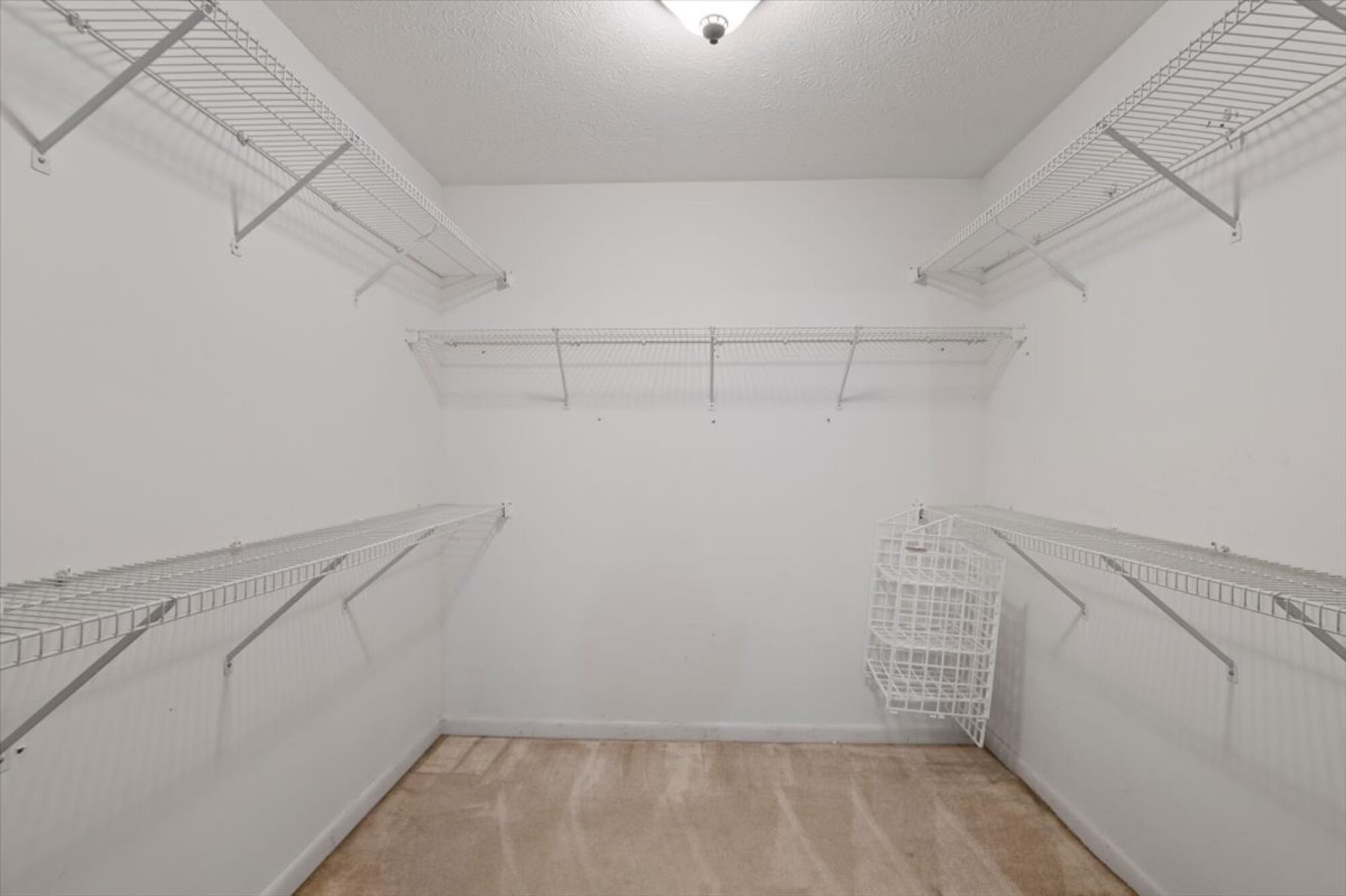 Lot image 31