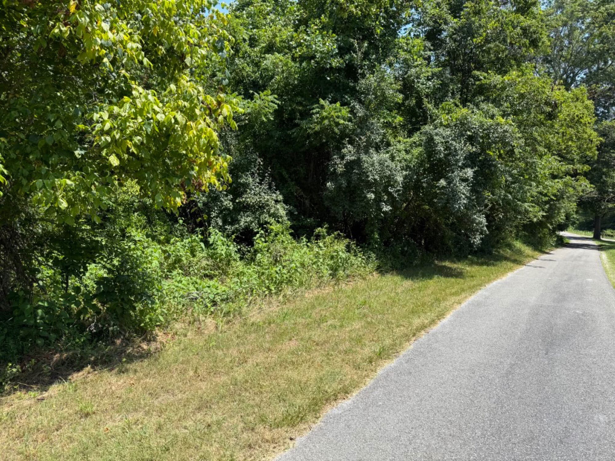 Lot image 15