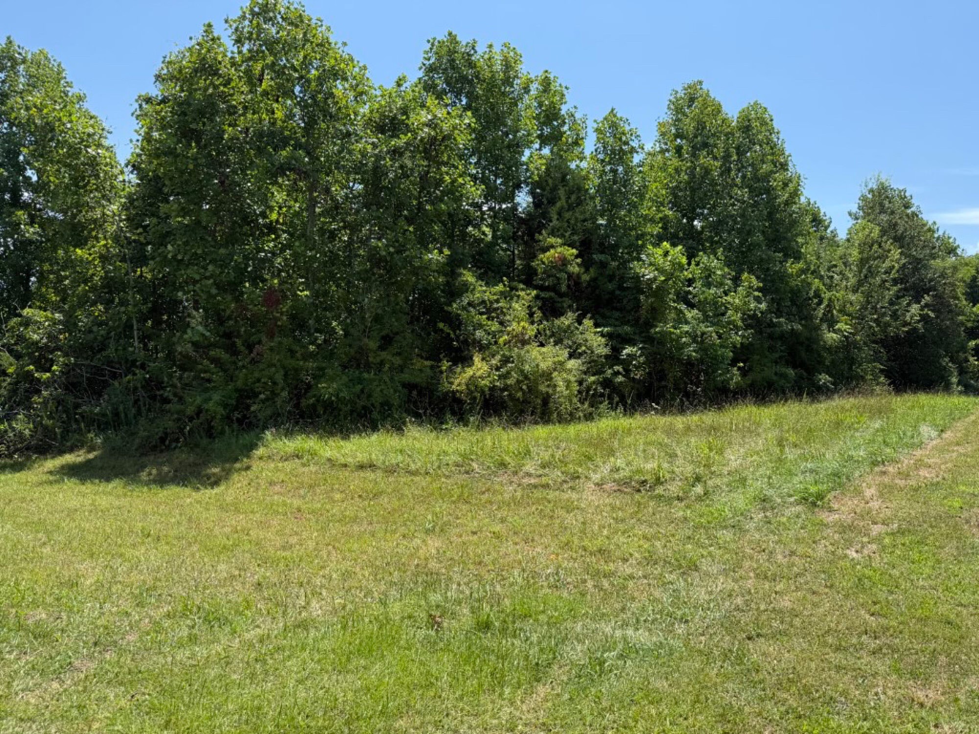 Lot image 17