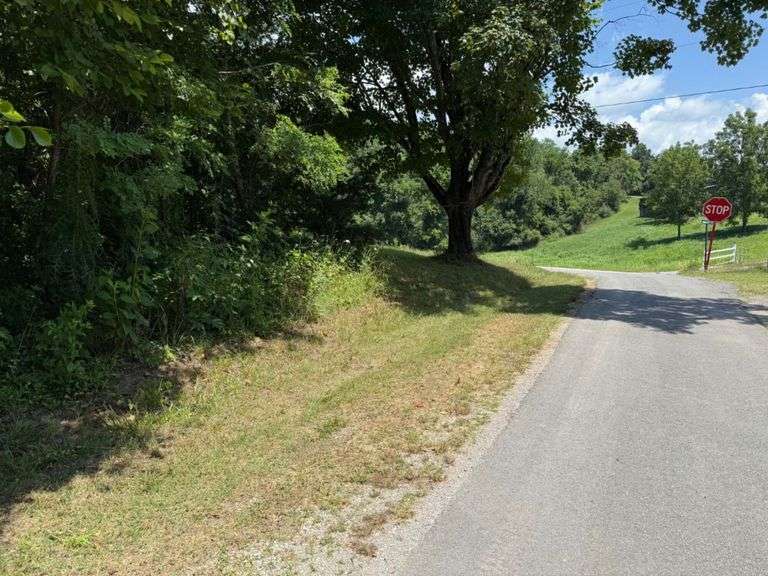 12 +/- Acres, Bailey Drive, Speedwell, TN.