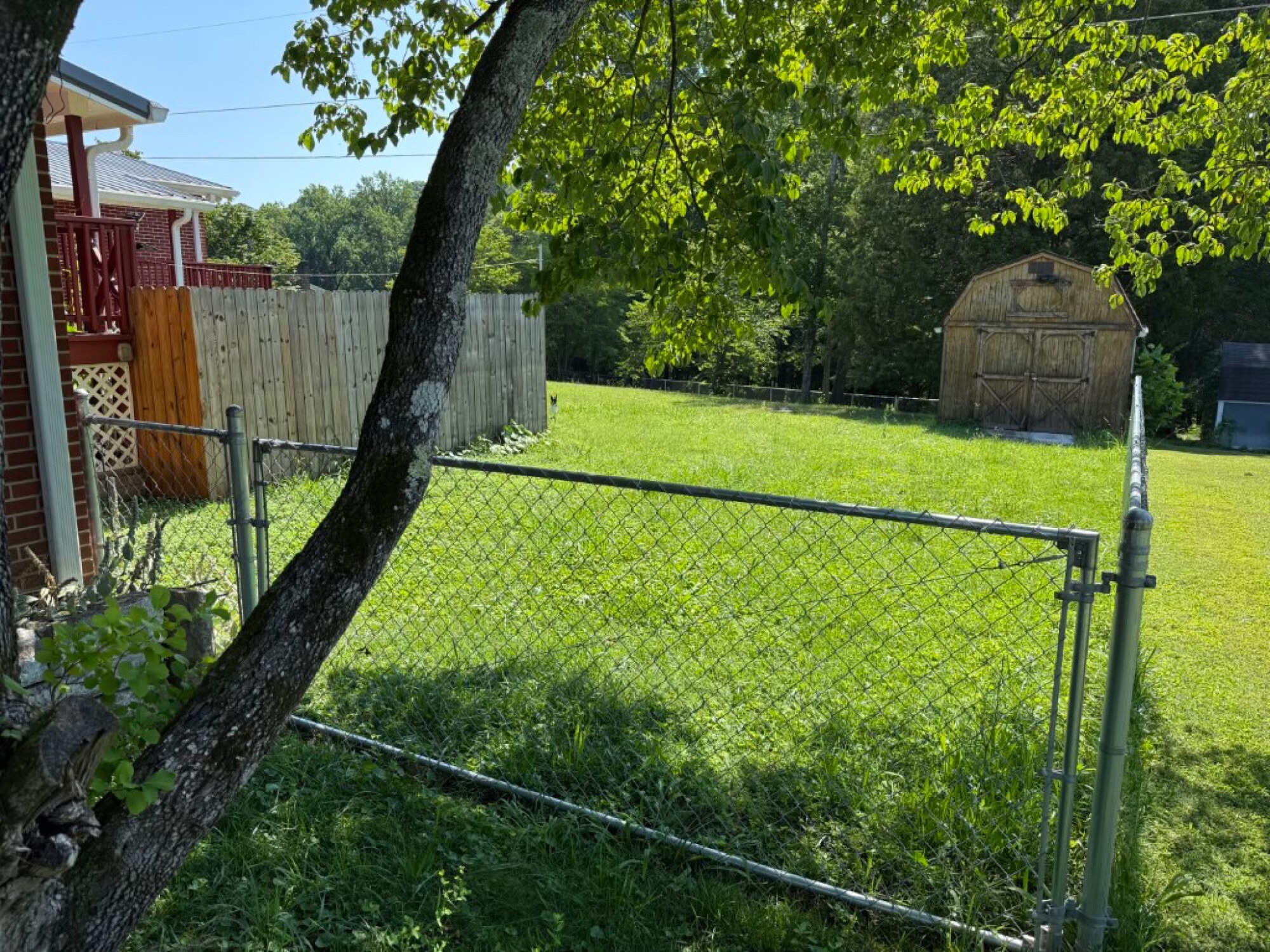 Lot image 13