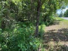 12 +/- Acres, Bailey Drive, Speedwell, TN.