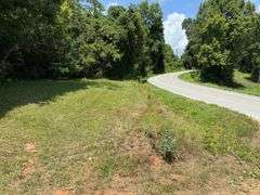 12 +/- Acres, Bailey Drive, Speedwell, TN.