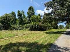 12 +/- Acres, Bailey Drive, Speedwell, TN.