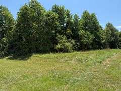 12 +/- Acres, Bailey Drive, Speedwell, TN.
