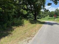 12 +/- Acres, Bailey Drive, Speedwell, TN.