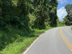 12 +/- Acres, Bailey Drive, Speedwell, TN.