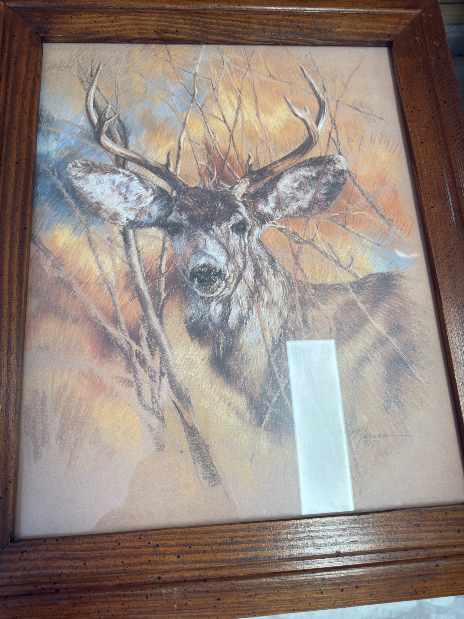 Lot image 4