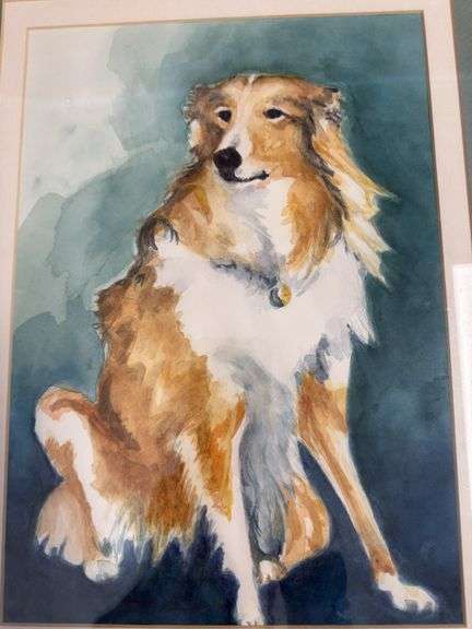 Water color of collie dog