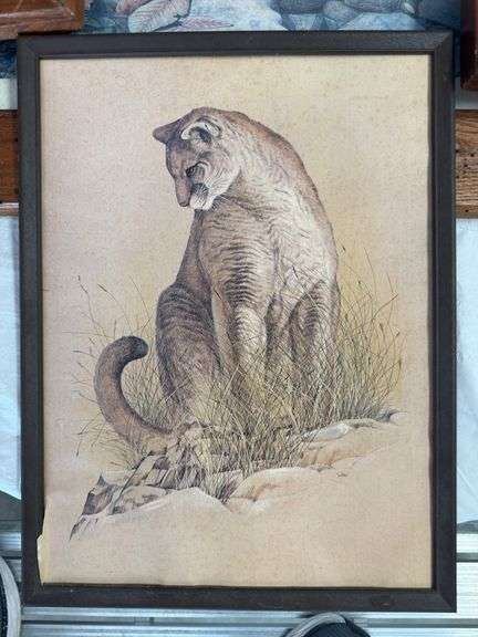 5 framed American wildlife art prints