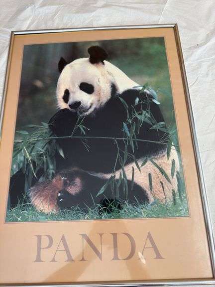 6 framed art prints
