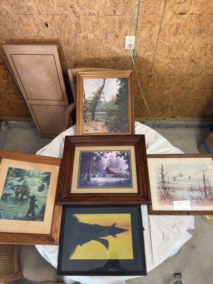 5 framed wilderness prints