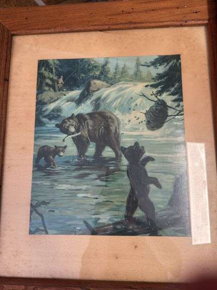 5 framed wilderness prints