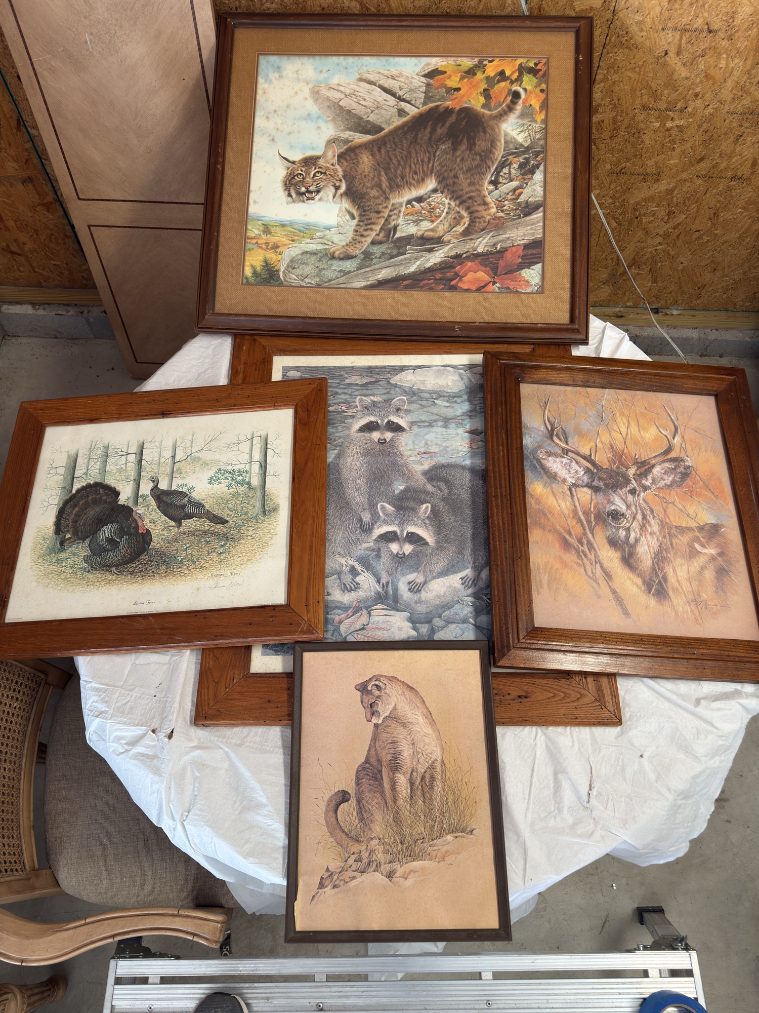 Lot image 1