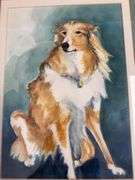 Water color of collie dog