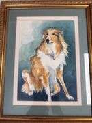 Water color of collie dog