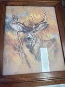 5 framed American wildlife art prints