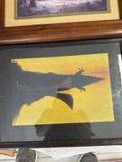 5 framed wilderness prints