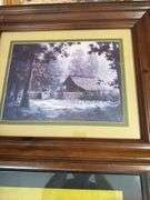 5 framed wilderness prints