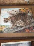 5 framed American wildlife art prints