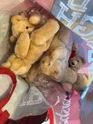 Muppets, craft bears as shown