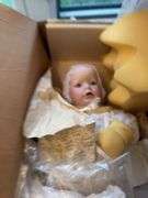 Large lot of dolls and stuffed animals