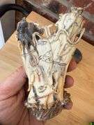 Antique Carved Ivory