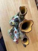 Staffordshire Pottery