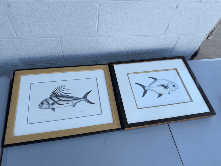 Framed Fish Prints by A.J. Tilley: A Reel Catch for Your Collection! image