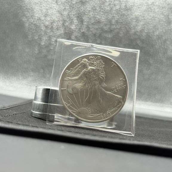 2003  .999 Fine Silver  1 Troy Ounce American Silver Eagle image