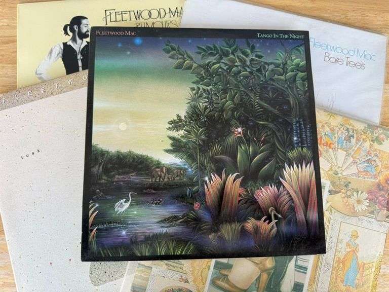 Fleetwood Mac Vinyl Record Lot image